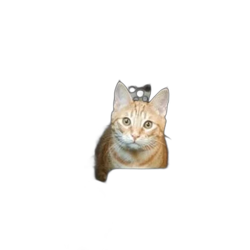 animal, staff, creature, jewelry transparent PNG cut-out