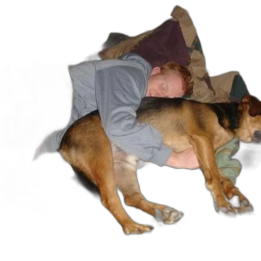 animal, creature, umbrella, staff transparent PNG cut-out