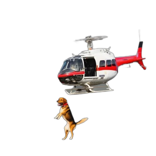 animal, 3d render, concept art, photorealistic transparent PNG cut-out