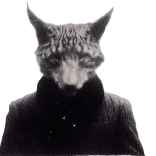 mask, animal, jacket, creature transparent PNG cut-out