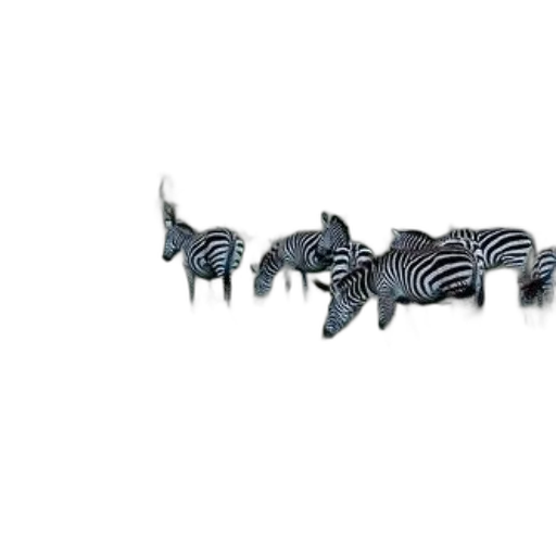 animal, creature, furniture, jewelry transparent PNG cut-out