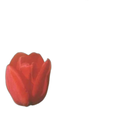 flower, crown, food, jewelry transparent PNG cut-out