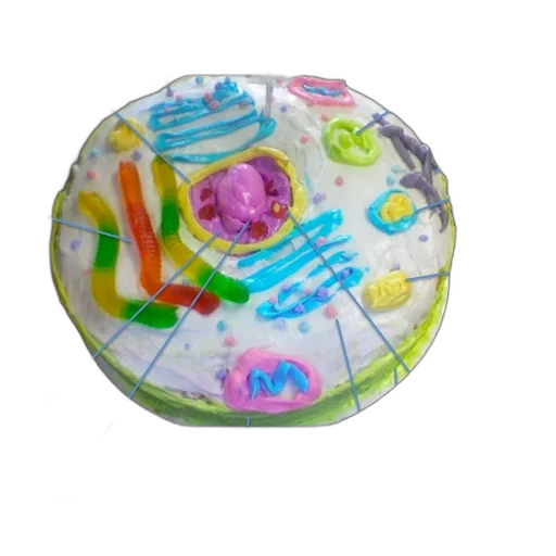 food, umbrella, jewelry, 3d render transparent PNG cut-out