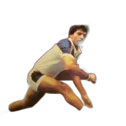 shoes, creature, staff, animal transparent PNG cut-out