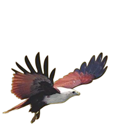 animal, staff, dragon, creature transparent PNG cut-out