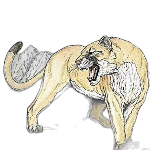 animal, staff, creature, mask transparent PNG cut-out