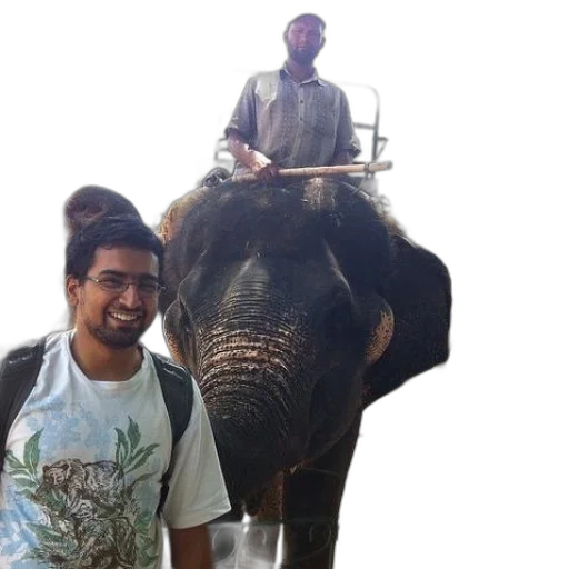animal, staff, creature, umbrella transparent PNG cut-out