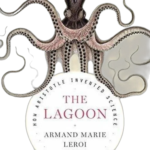 animal, lagoon, how, aristotle transparent PNG cut-out