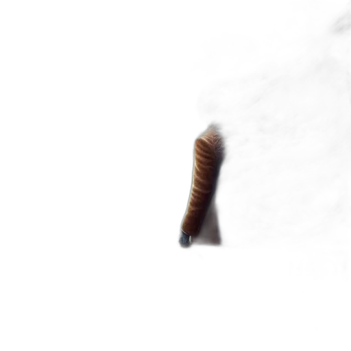 hair, animal, creature, staff transparent PNG cut-out