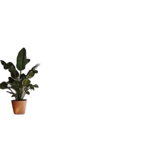 tree, flower, crown, furniture transparent PNG cut-out