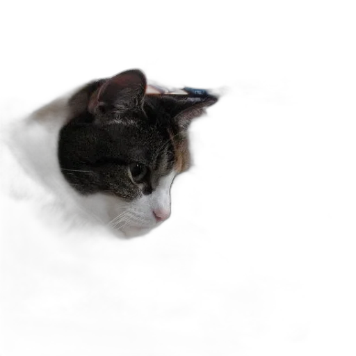 animal, creature, staff, hat transparent PNG cut-out