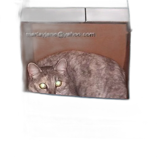 furniture, animal, creature, jewelry transparent PNG cut-out