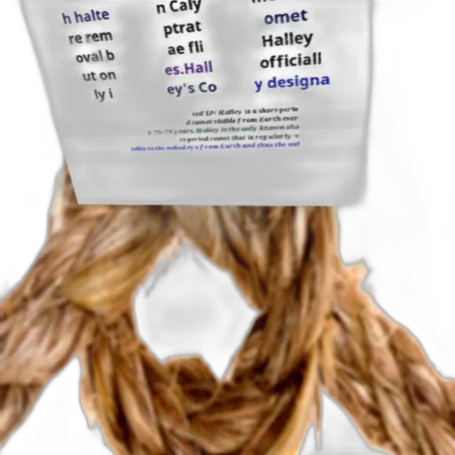 hair, dress, mask, crown transparent PNG cut-out