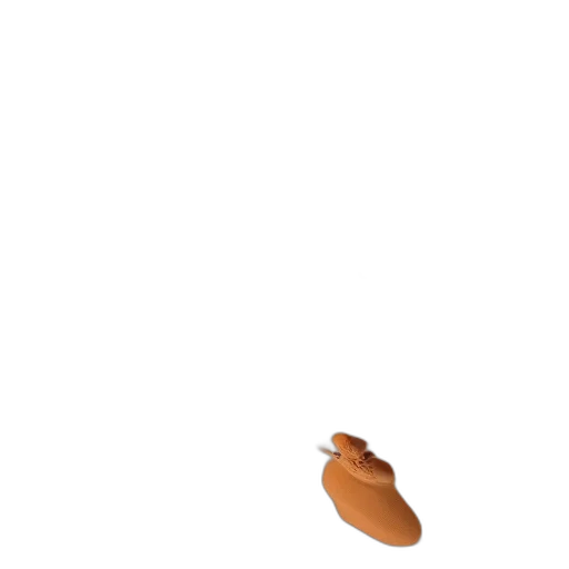 shoes, food, animal, hat transparent PNG cut-out