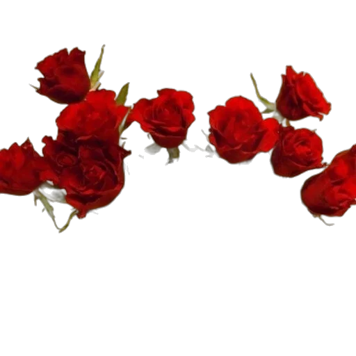 flower, crown, jewelry, staff transparent PNG cut-out
