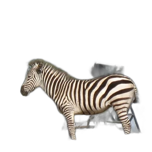 animal, creature, furniture, jewelry transparent PNG cut-out