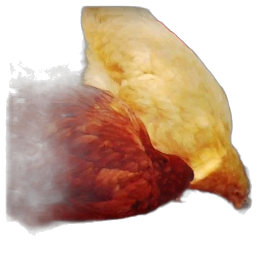 food, mask, hair, face transparent PNG cut-out