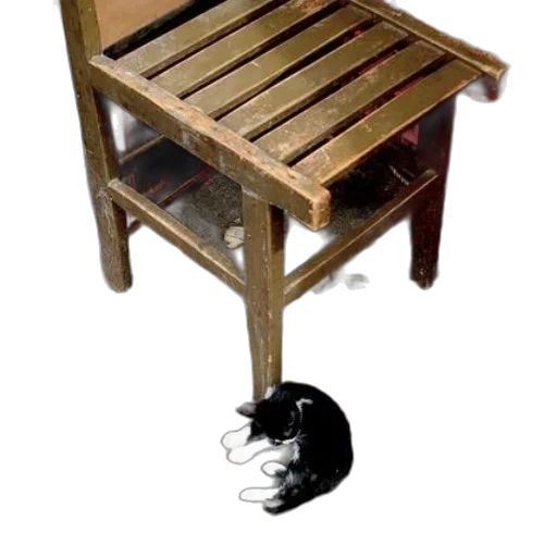 furniture, staff, animal, jewelry transparent PNG cut-out