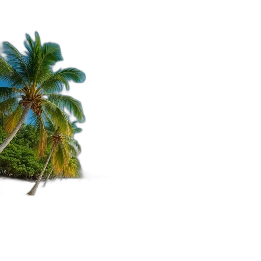 tree, umbrella, hat, hair transparent PNG cut-out