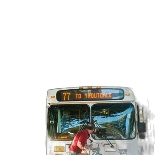 car, animal, creature, staff transparent PNG cut-out