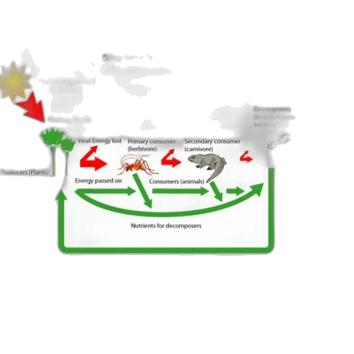 concept art, 3d render, fog, fire transparent PNG cut-out