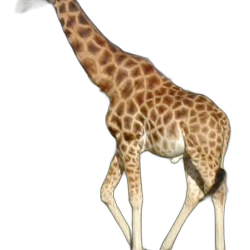 animal, creature, staff, weapon transparent PNG cut-out