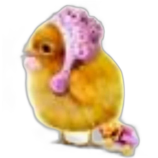 animal, creature, food, jewelry transparent PNG cut-out