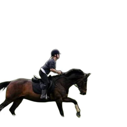 animal, staff, creature, photorealistic transparent PNG cut-out