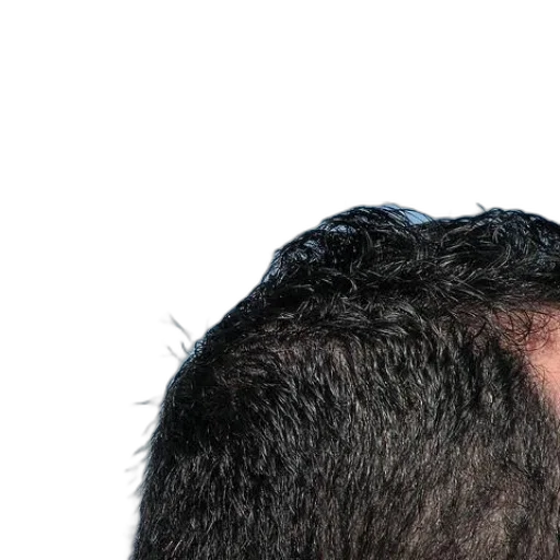 hair, face, hat, crown transparent PNG cut-out