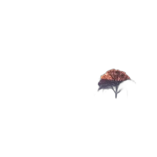 tree, hat, umbrella, hair transparent PNG cut-out