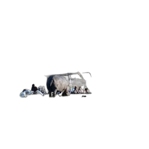 umbrella, car, animal, robot transparent PNG cut-out