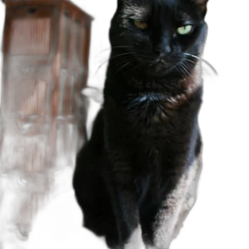 animal, staff, creature, face transparent PNG cut-out