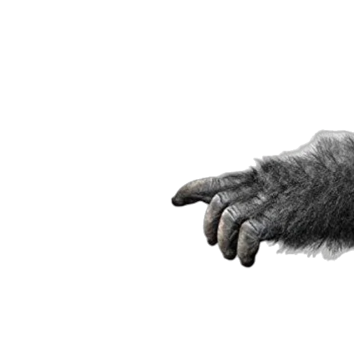 animal, creature, hair, mask transparent PNG cut-out