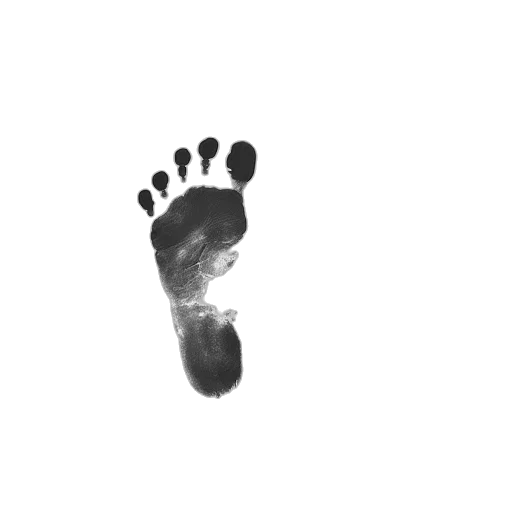 shoes, face, creature, animal transparent PNG cut-out