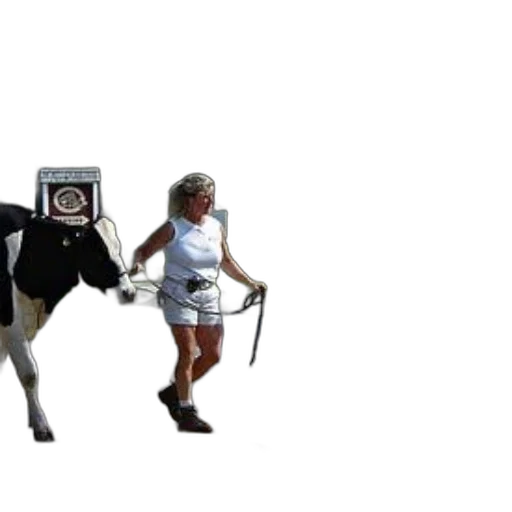 robot, mask, creature, animal transparent PNG cut-out