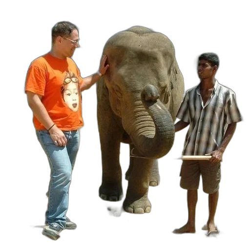 animal, staff, creature, umbrella transparent PNG cut-out