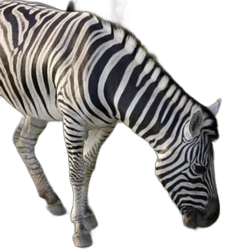 animal, creature, weapon, staff transparent PNG cut-out