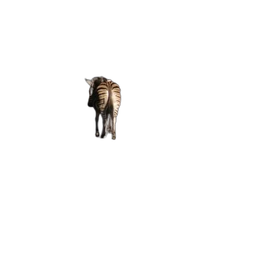 animal, creature, hair, furniture transparent PNG cut-out