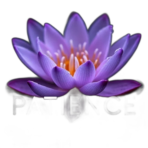 flower, jewelry, crown, photorealistic transparent PNG cut-out