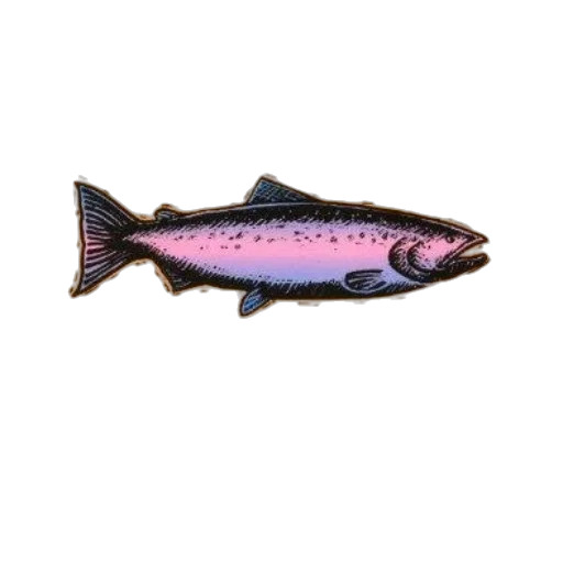 animal, food, staff, jewelry transparent PNG cut-out