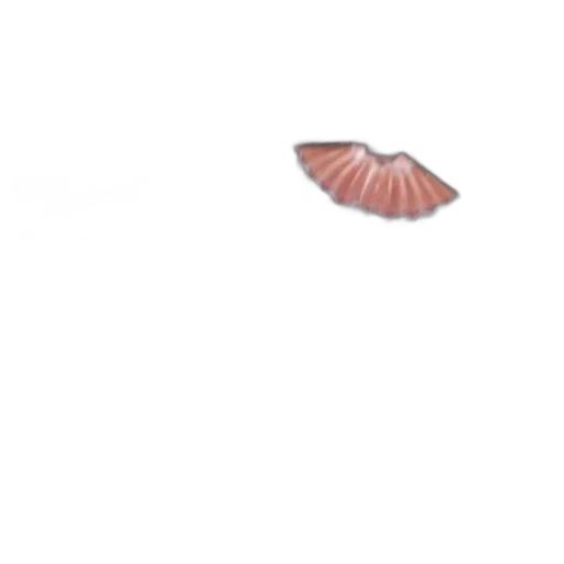 hair, hat, umbrella, creature transparent PNG cut-out