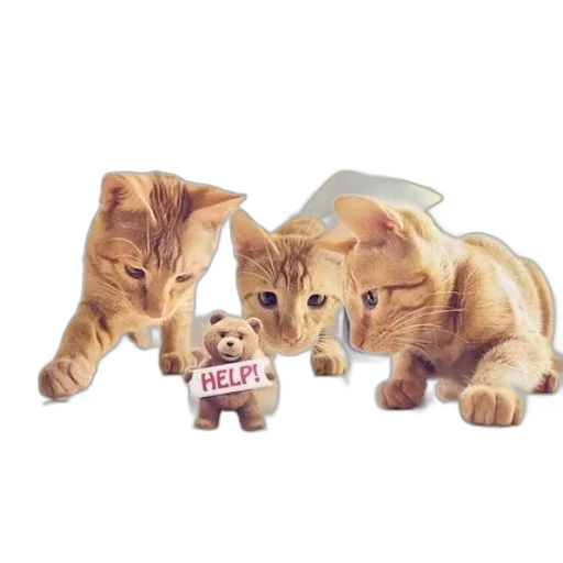 3d render, concept art, three, cats transparent PNG cut-out