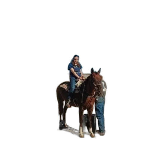 animal, staff, car, creature transparent PNG cut-out