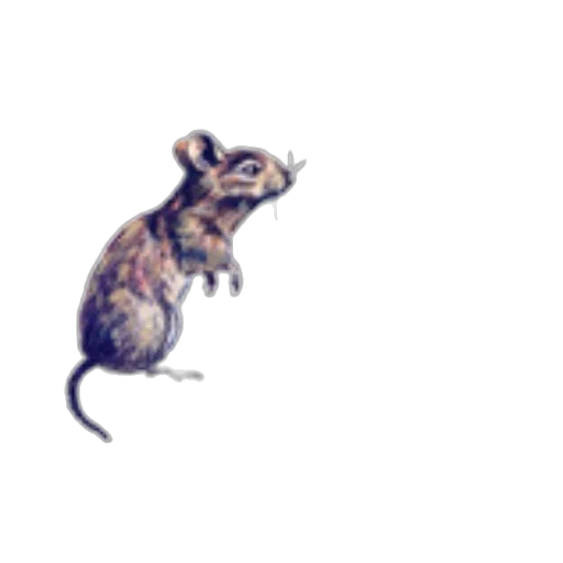 animal, creature, staff, dragon transparent PNG cut-out