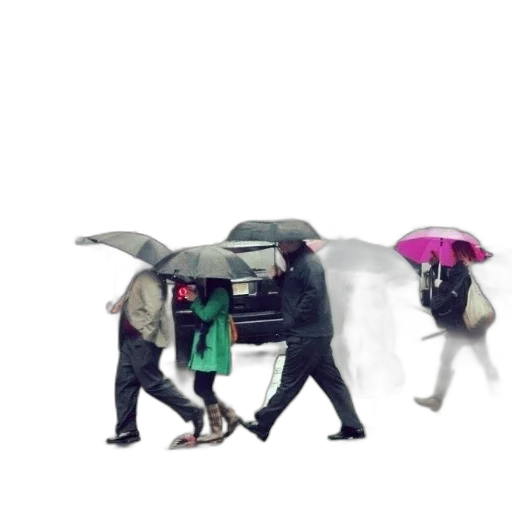 umbrella, car, jacket, animal transparent PNG cut-out