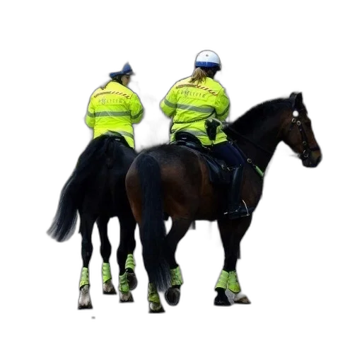 staff, animal, concept art, two transparent PNG cut-out