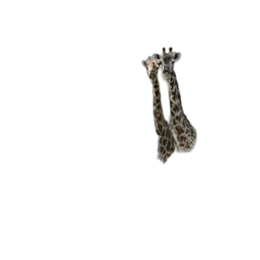 jewelry, crown, staff, weapon transparent PNG cut-out