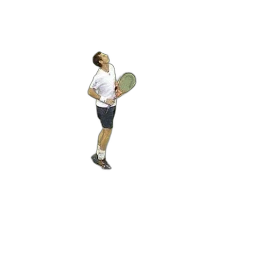 staff, tennis, player, stands transparent PNG cut-out