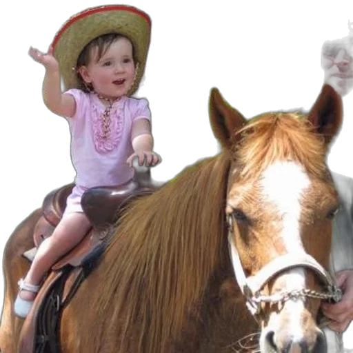 hat, animal, photorealistic, young transparent PNG cut-out