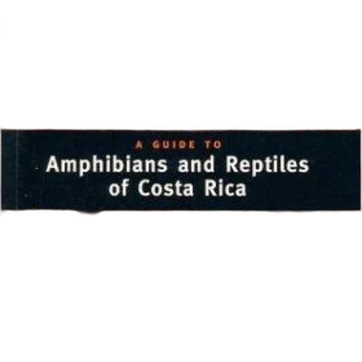 animal, guide, amphibians, reptiles transparent PNG cut-out